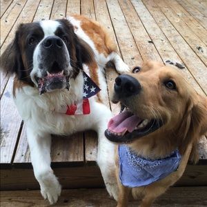 Meet your Posher, Hayley